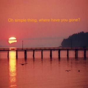 Meet your Posher, Rita